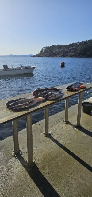 20240503_175638.jpg 20240503_175638.jpg