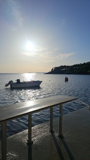 IMG-20240503-WA0008.jpeg IMG-20240503-WA0008.jpeg