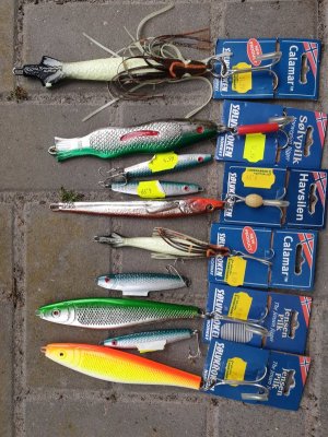 20240504_194743.jpg 20240504_194743.jpg