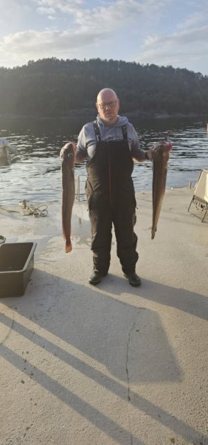 20240505_200750.jpg 20240505_200750.jpg