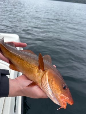 79bb32c7-d864-4ad5-a77a-71527ef6a162.jpeg 79bb32c7-d864-4ad5-a77a-71527ef6a162.jpeg