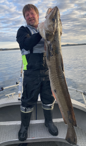 1715203244487.png 1715203244487.png