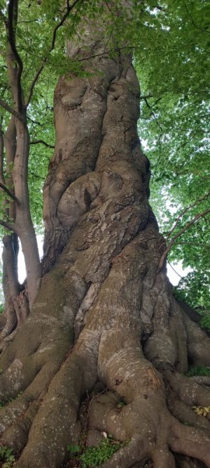 IMG_20240506_195444.jpg IMG_20240506_195444.jpg