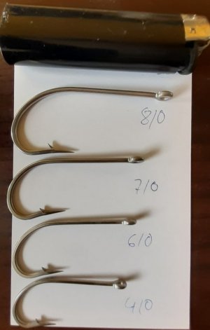 20240511_114929.jpg 20240511_114929.jpg