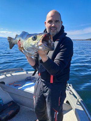 20240517_115225.jpg 20240517_115225.jpg