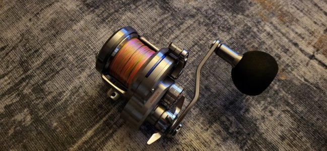 20240517_161318.jpg 20240517_161318.jpg