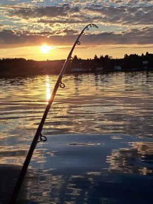 20240517_212713.jpg 20240517_212713.jpg