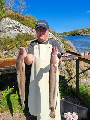 20240520_145229.jpg 20240520_145229.jpg