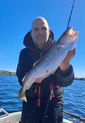 20240520_121753.jpg 20240520_121753.jpg