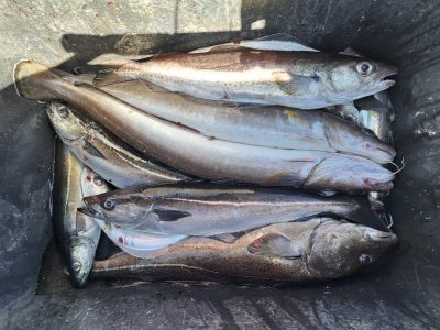 20240520_122730.jpg 20240520_122730.jpg