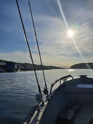20240521_074824.jpg