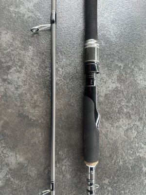 bulls3.jpg bulls3.jpg