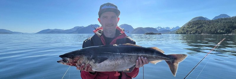 WhatsApp Bild 2024-05-21 um 09.55.23_1f24784a.jpg