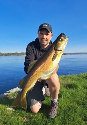 20240522_185425.jpg 20240522_185425.jpg