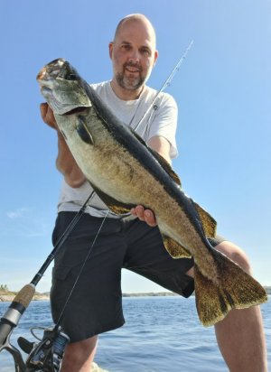 20240523_123552.jpg 20240523_123552.jpg