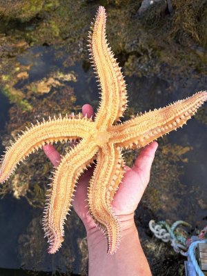 20240523_083243.jpg 20240523_083243.jpg