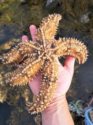 20240523_083236.jpg 20240523_083236.jpg