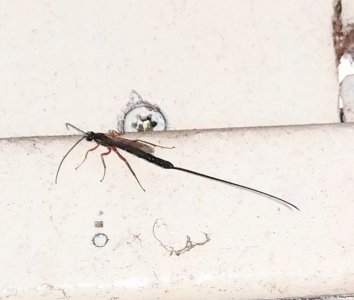 IMAG2102.jpg IMAG2102.jpg