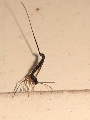 IMAG2107.jpg IMAG2107.jpg