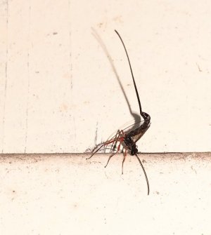 IMAG2104.jpg IMAG2104.jpg