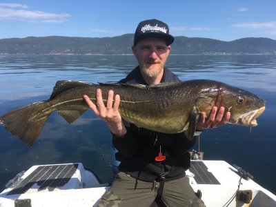 WhatsApp Bild 2024-05-24 um 15.50.52_1aa76f2b.jpg