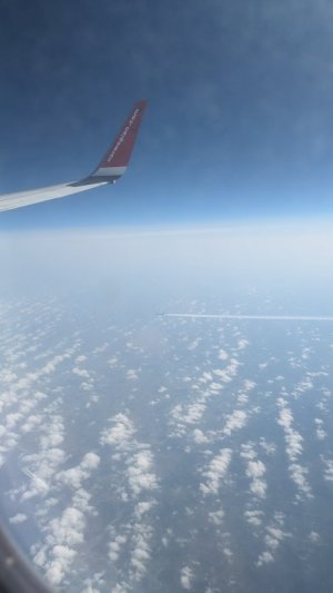 1000004787.jpg