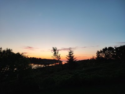 IMG_20240526_012237.jpg