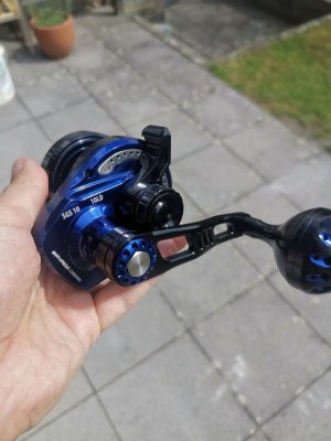 IMG_20240527_160747.jpg IMG_20240527_160747.jpg