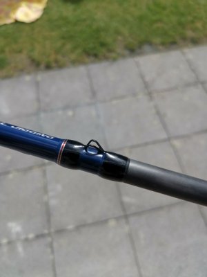 IMG_20240527_161059.jpg IMG_20240527_161059.jpg