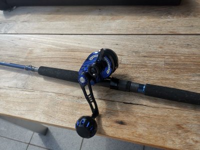 IMG_20240527_161252.jpg IMG_20240527_161252.jpg