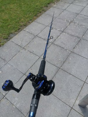 IMG_20240527_161303.jpg IMG_20240527_161303.jpg