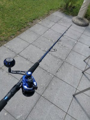 IMG_20240527_161323.jpg IMG_20240527_161323.jpg