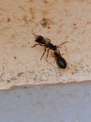 IMAG2119.jpg