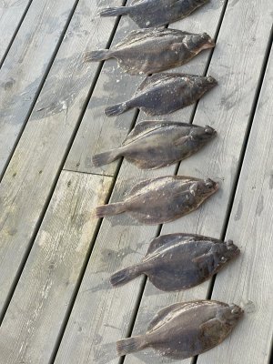 IMG_1826.jpeg IMG_1826.jpeg