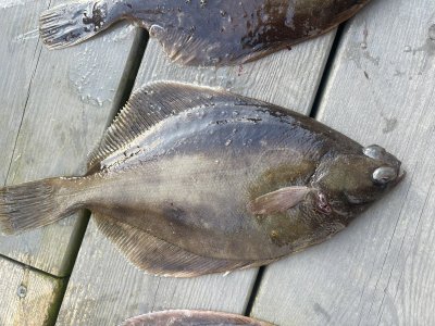 IMG_1829.jpeg IMG_1829.jpeg