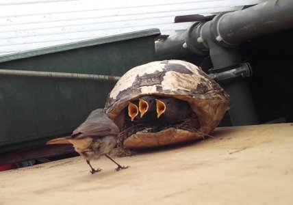 STC_0089.JPG STC_0089.JPG