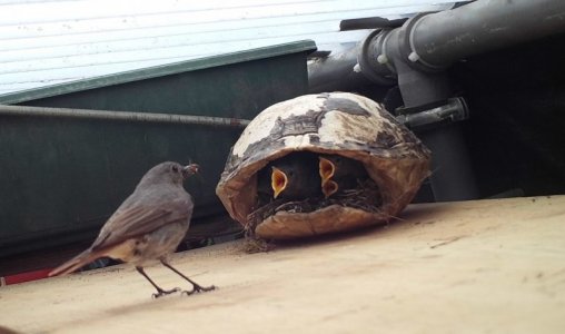 STC_0103.JPG STC_0103.JPG