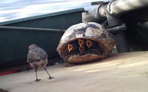 STC_0139.JPG STC_0139.JPG