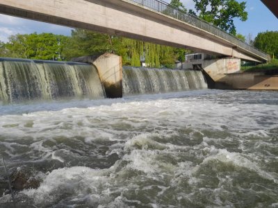 IMG-20240530-WA0000.jpg IMG-20240530-WA0000.jpg