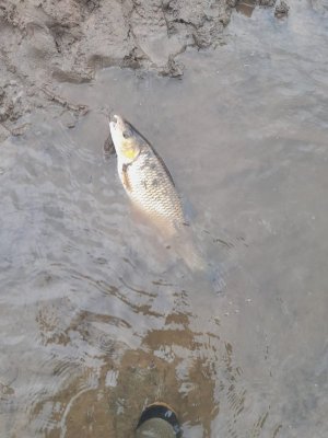 IMG-20240530-WA0002.jpg IMG-20240530-WA0002.jpg