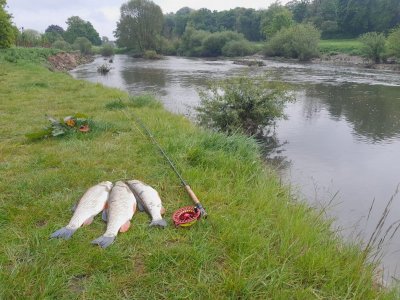 IMG-20240530-WA0004.jpg IMG-20240530-WA0004.jpg