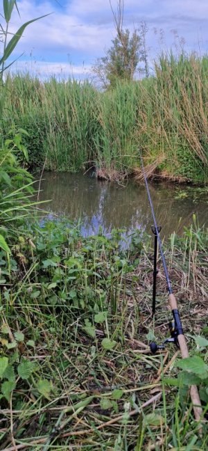 20240530_195112.jpg 20240530_195112.jpg