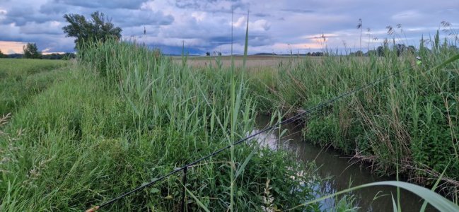 20240530_205018.jpg 20240530_205018.jpg