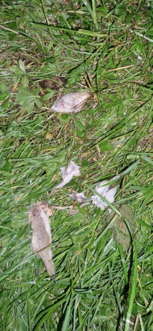 20240530_215638.jpg 20240530_215638.jpg