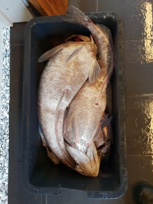 20220712_155755.jpeg 20220712_155755.jpeg