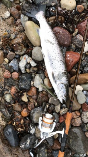 1D0F1249-0A3E-4A93-A8FA-CD8F1EB97B07 (1).JPG