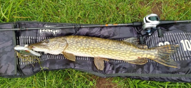 20240601_074325.jpg 20240601_074325.jpg