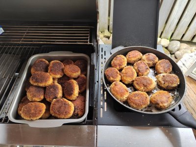 IMG_20240602_150436.jpg IMG_20240602_150436.jpg