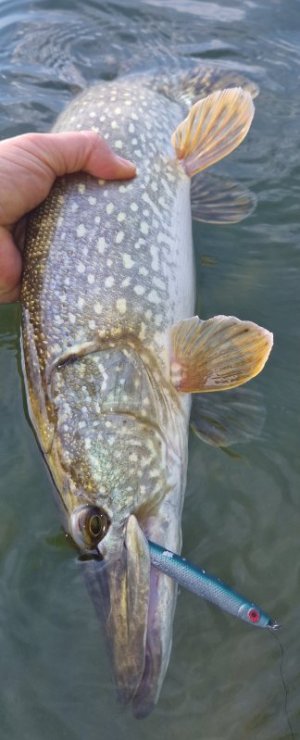 20240602_192218.jpg 20240602_192218.jpg