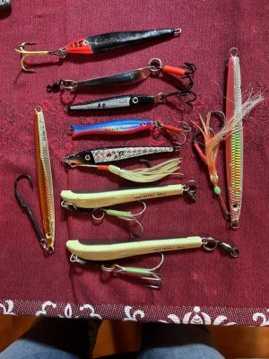 IMG_7377.jpeg IMG_7377.jpeg